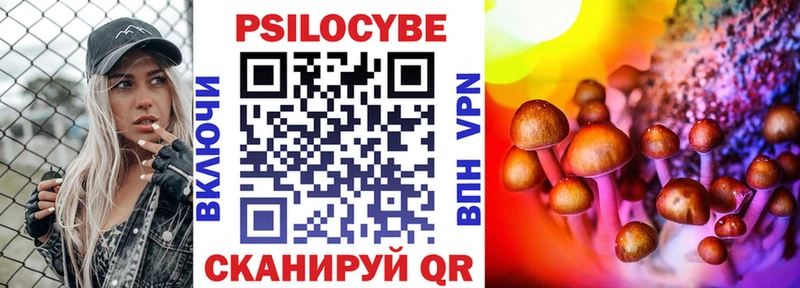 дарк нет состав  сколько стоит  Приморско-Ахтарск  Псилоцибиновые грибы Psilocybine cubensis  blacksprut ссылка 